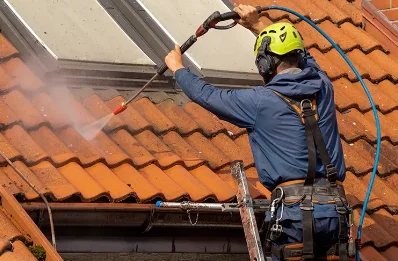 Démoussage et hydrofuge de toiture à Laglorieuse